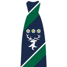 Tie - Green / Navy (Yr10)